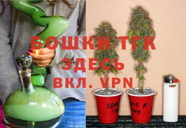 гидра Белоозёрский